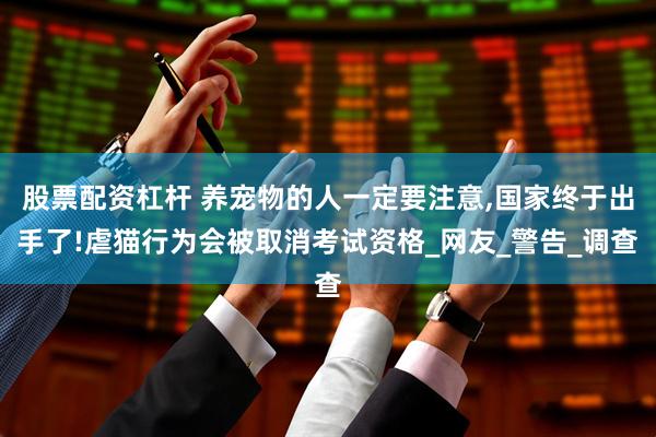 股票配资杠杆 养宠物的人一定要注意,国家终于出手了!虐猫行为会被取消考试资格_网友_警告_调查